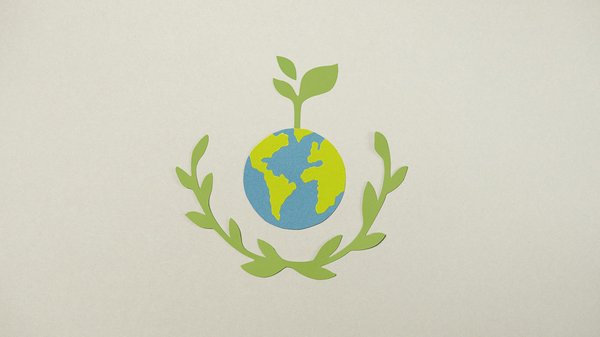 Défis majeurs de la conservation des espèces : stratégies innovantes et enjeux cruciaux